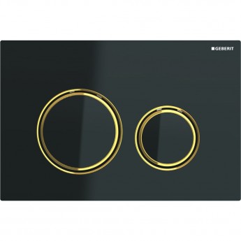 Клавиша смыва GEBERIT SIGMA 21 115.652.SJ.1 черный
